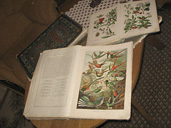 Нажмите для увеличения