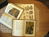 Нажмите для увеличения